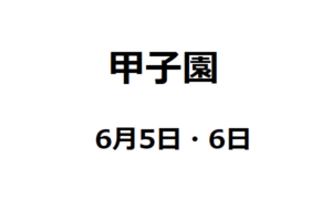 【日本・甲子園】6月に阪神甲子園球場で「台湾デー」が開かれます。